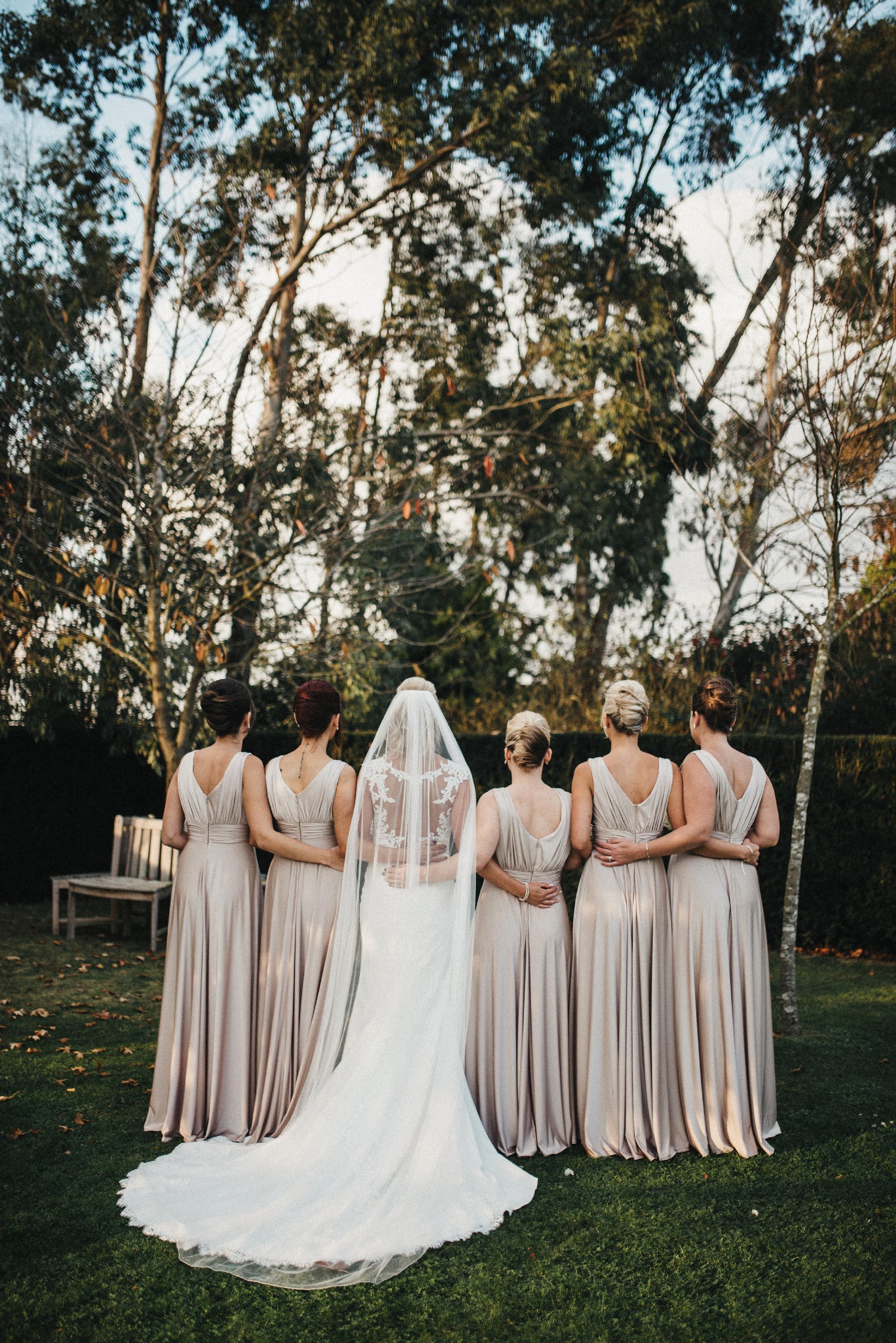 rear profile of a bride wearing an ivory dress and veil with 5 bridesmaids in taupe dresses stood outside near trees